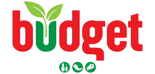Budget